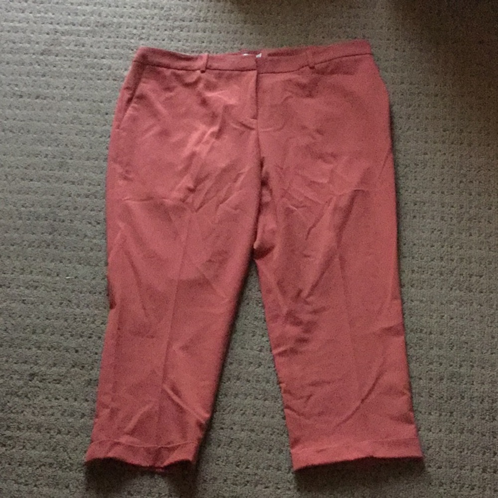 Tahari petite pants